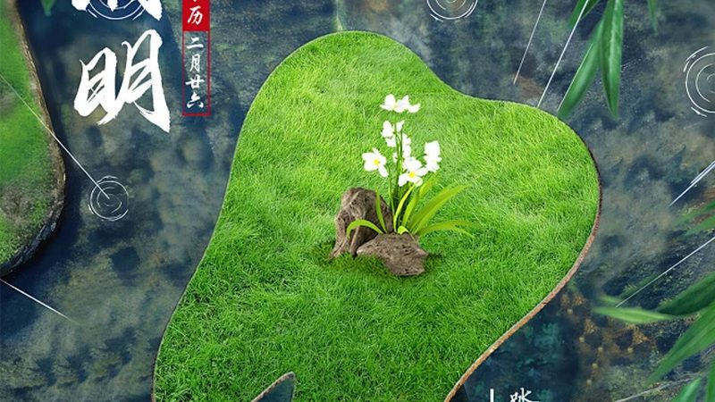 全口种植牙方案那么多，选错一步多花几万块
